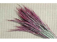 沖塚しめなわ工房,伊勢のしめなわ・稲穂ドライフラワー・古代米・手作り豆腐セット,宝船